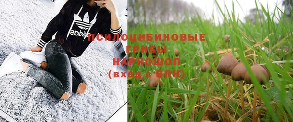 СК Горнозаводск